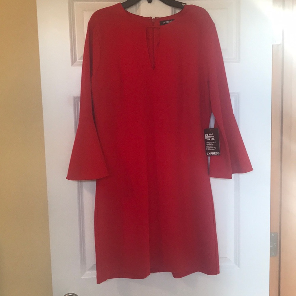 Express Red Dress